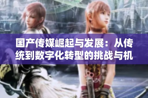 国产传媒崛起与发展：从传统到数字化转型的挑战与机遇