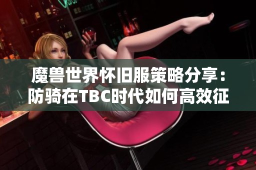 魔兽世界怀旧服策略分享：防骑在TBC时代如何高效征战斯坦索姆副本