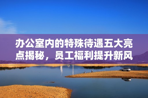 办公室内的特殊待遇五大亮点揭秘，员工福利提升新风貌