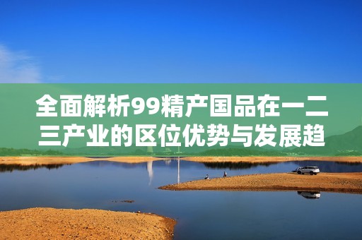 全面解析99精产国品在一二三产业的区位优势与发展趋势