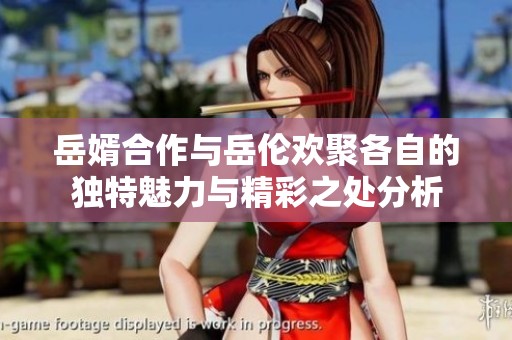 岳婿合作与岳伦欢聚各自的独特魅力与精彩之处分析