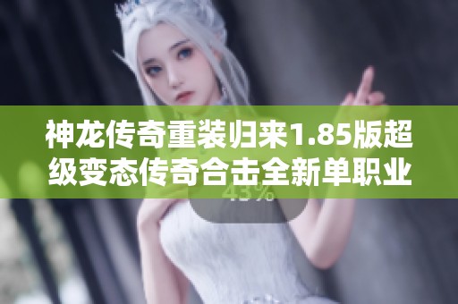 神龙传奇重装归来1.85版超级变态传奇合击全新单职业迷失传奇震撼上线