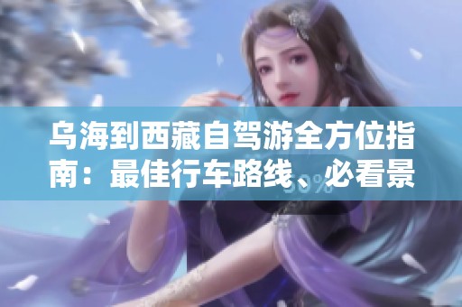 乌海到西藏自驾游全方位指南：最佳行车路线、必看景点及实用旅行建议