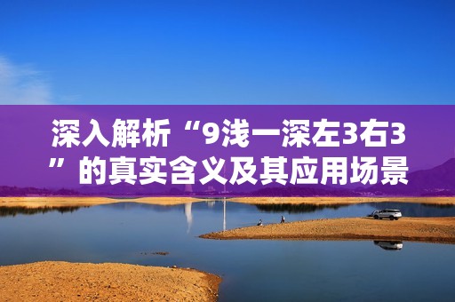 深入解析“9浅一深左3右3”的真实含义及其应用场景