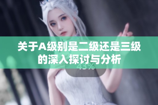 关于A级别是二级还是三级的深入探讨与分析