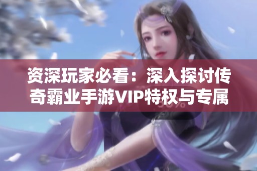 资深玩家必看：深入探讨传奇霸业手游VIP特权与专属等级礼包的魅力与优势