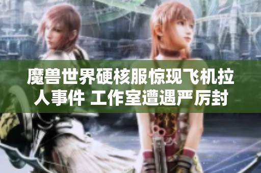 魔兽世界硬核服惊现飞机拉人事件 工作室遭遇严厉封号处理引发玩家热议