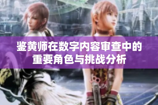 鉴黄师在数字内容审查中的重要角色与挑战分析