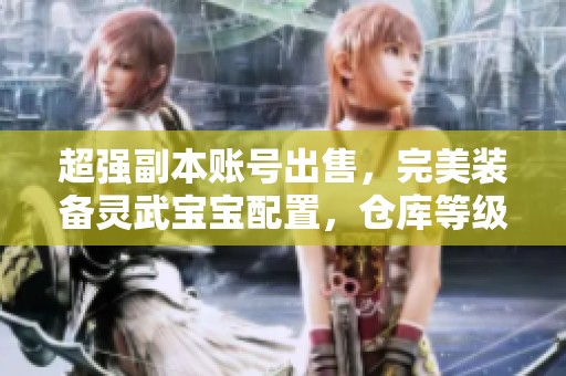 超强副本账号出售，完美装备灵武宝宝配置，仓库等级达到4级，绝佳机会不容错过！