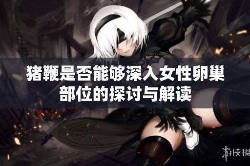 猪鞭是否能够深入女性卵巢部位的探讨与解读