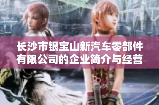 长沙市银宝山新汽车零部件有限公司的企业简介与经营情况分析