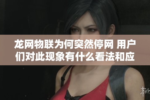 龙网物联为何突然停网 用户们对此现象有什么看法和应对措施