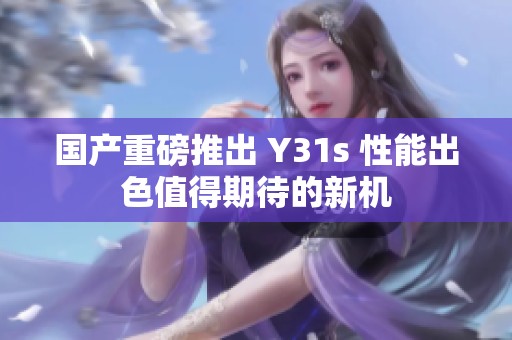 国产重磅推出 Y31s 性能出色值得期待的新机