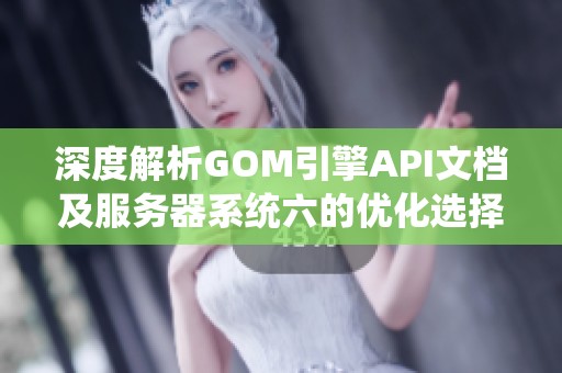 深度解析GOM引擎API文档及服务器系统六的优化选择策略与实现路径