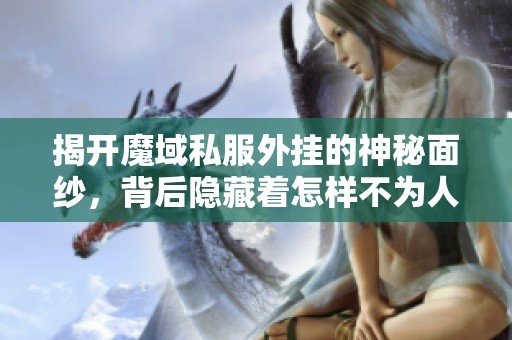 揭开魔域私服外挂的神秘面纱，背后隐藏着怎样不为人知的真相与秘密