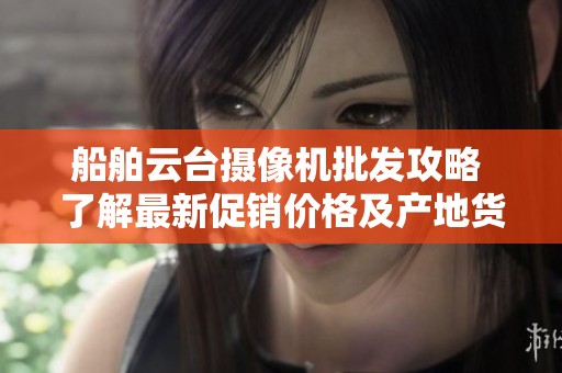 船舶云台摄像机批发攻略 了解最新促销价格及产地货源信息