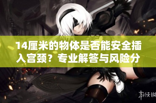 14厘米的物体是否能安全插入宫颈？专业解答与风险分析