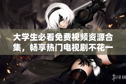 大学生必看免费视频资源合集，畅享热门电视剧不花一分钱