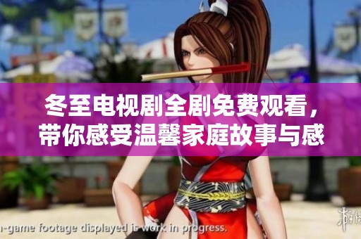 冬至电视剧全剧免费观看，带你感受温馨家庭故事与感人情节