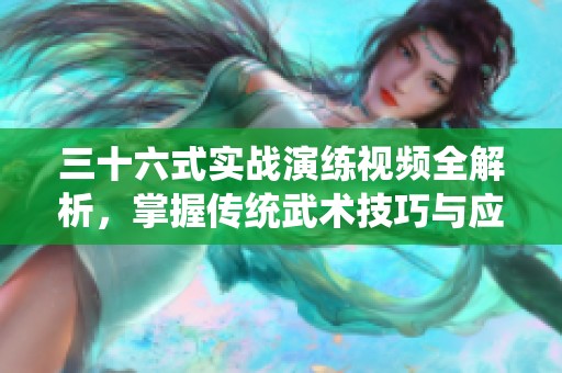 三十六式实战演练视频全解析，掌握传统武术技巧与应用