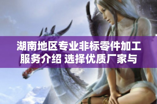湖南地区专业非标零件加工服务介绍 选择优质厂家与品牌推荐及图片展示