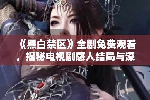《黑白禁区》全剧免费观看，揭秘电视剧感人结局与深刻主题