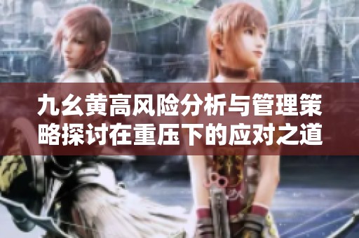九幺黄高风险分析与管理策略探讨在重压下的应对之道