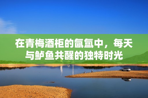 在青梅酒柜的氤氲中，每天与鲈鱼共醒的独特时光