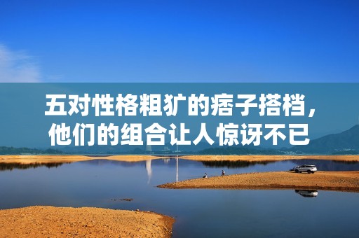 五对性格粗犷的痞子搭档，他们的组合让人惊讶不已