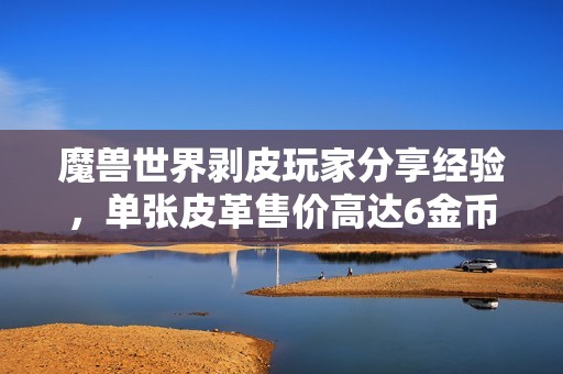 魔兽世界剥皮玩家分享经验，单张皮革售价高达6金币引发热议