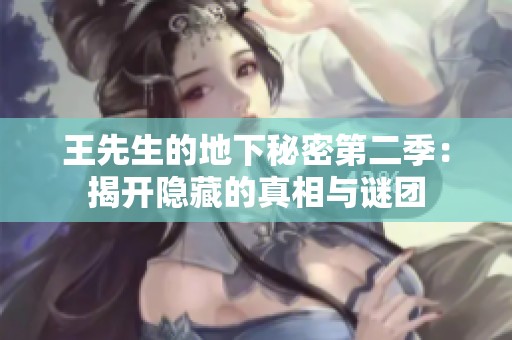 王先生的地下秘密第二季：揭开隐藏的真相与谜团