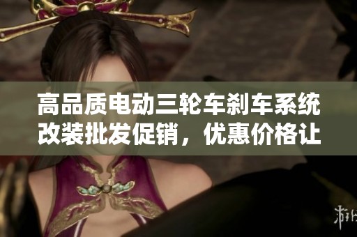 高品质电动三轮车刹车系统改装批发促销，优惠价格让您畅行无忧