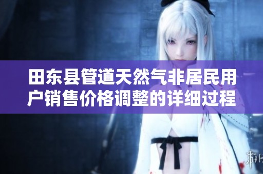 田东县管道天然气非居民用户销售价格调整的详细过程与执行分析