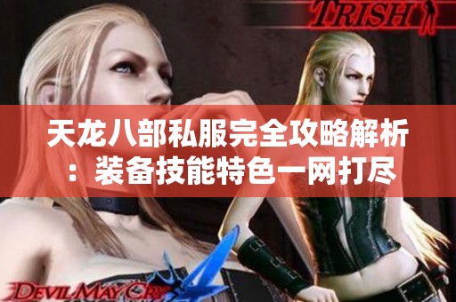 天龙八部私服完全攻略解析：装备技能特色一网打尽