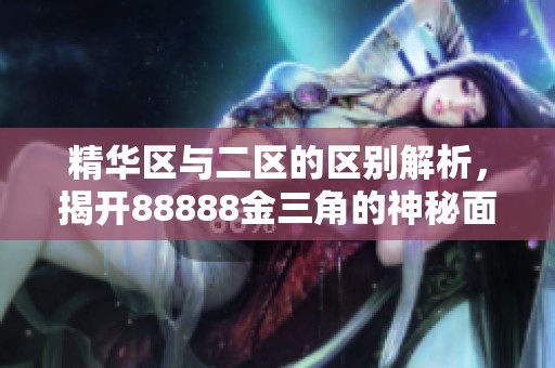 精华区与二区的区别解析，揭开88888金三角的神秘面纱