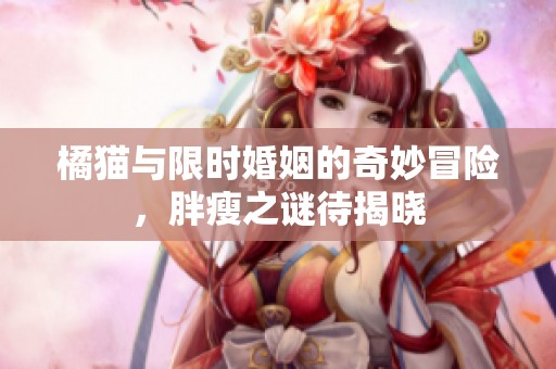 橘猫与限时婚姻的奇妙冒险，胖瘦之谜待揭晓