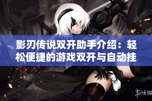 影刃传说双开助手介绍：轻松便捷的游戏双开与自动挂机功能体验解析