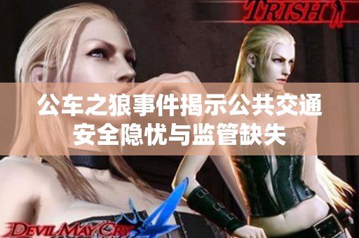 公车之狼事件揭示公共交通安全隐忧与监管缺失