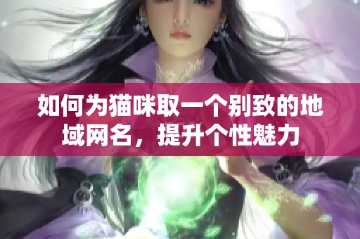 如何为猫咪取一个别致的地域网名，提升个性魅力