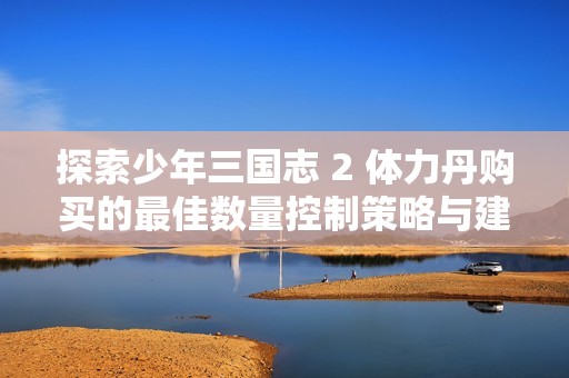 探索少年三国志 2 体力丹购买的最佳数量控制策略与建议