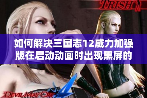 如何解决三国志12威力加强版在启动动画时出现黑屏的问题与兼容性分析