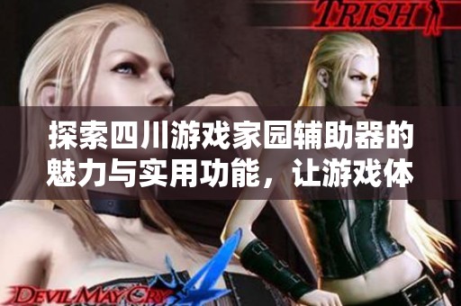 探索四川游戏家园辅助器的魅力与实用功能，让游戏体验更上一层楼