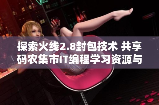 探索火线2.8封包技术 共享码农集市IT编程学习资源与经验