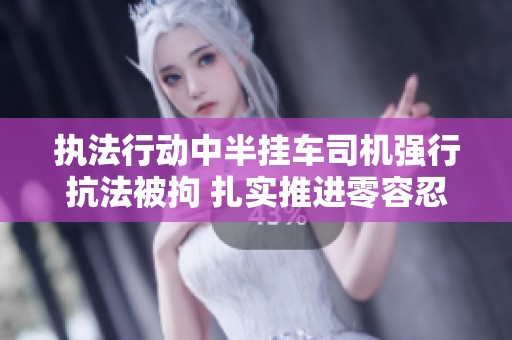 执法行动中半挂车司机强行抗法被拘 扎实推进零容忍的法律执法精神