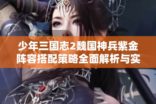 少年三国志2魏国神兵紫金阵容搭配策略全面解析与实用技巧分享