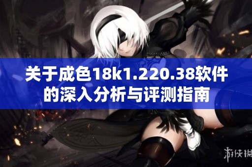 关于成色18k1.220.38软件的深入分析与评测指南
