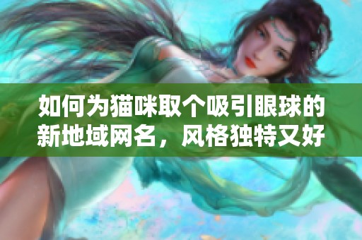 如何为猫咪取个吸引眼球的新地域网名，风格独特又好记