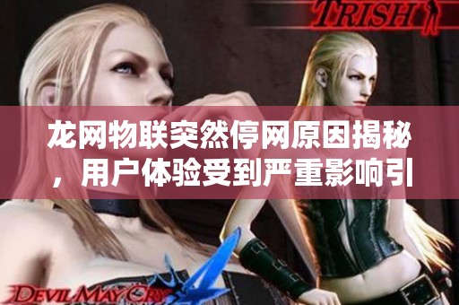 龙网物联突然停网原因揭秘，用户体验受到严重影响引发广泛关注