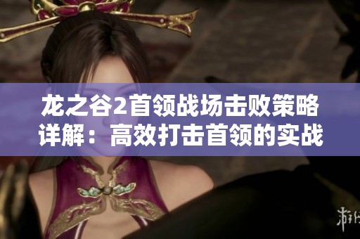 龙之谷2首领战场击败策略详解：高效打击首领的实战技巧与方法解析